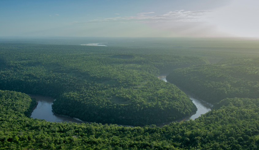 Nyerere National Park